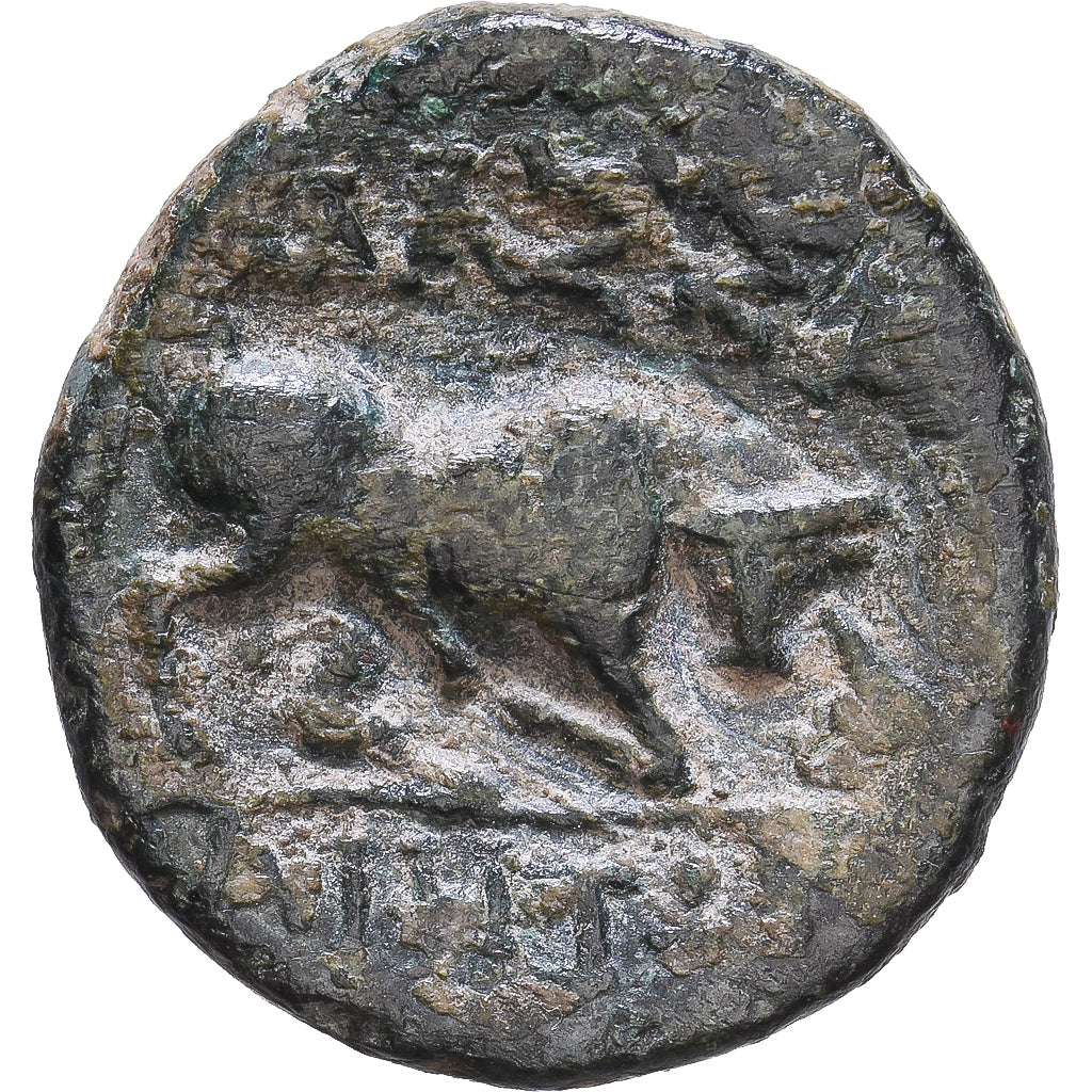 Gaul, Bronze au taureau, ca. 150-130 BC, Massalia, Bronce, BC+