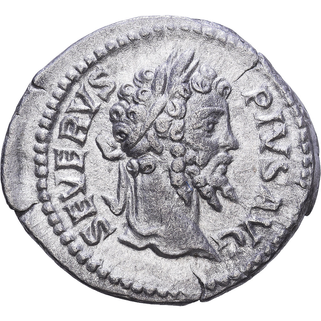 Roman Empire, Septimius Severus, Denarius, 202-210, Rome, Silver, AU(50-53)