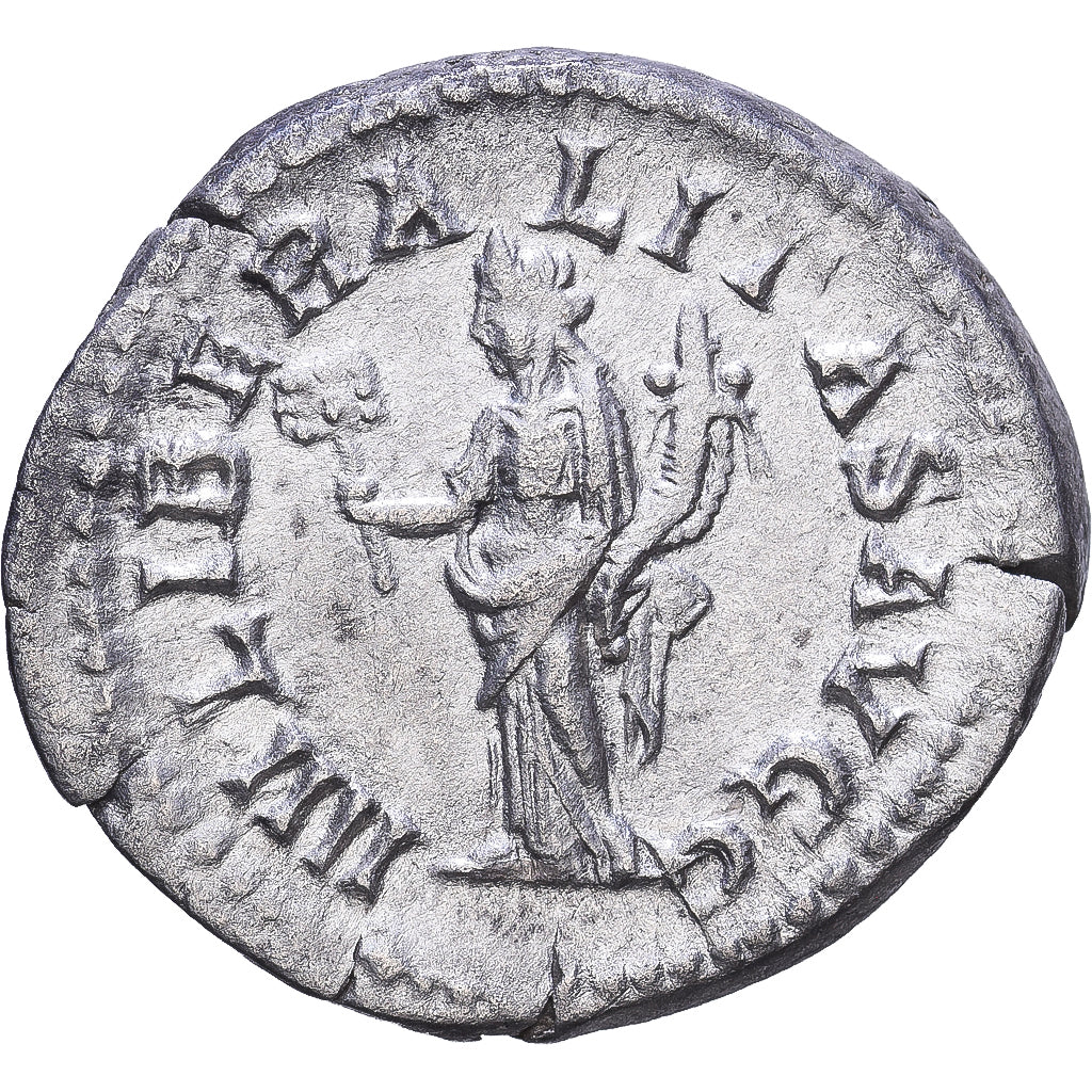 Roman Empire, Septimius Severus, Denarius, 202-210, Rome, Silver, AU(50-53)