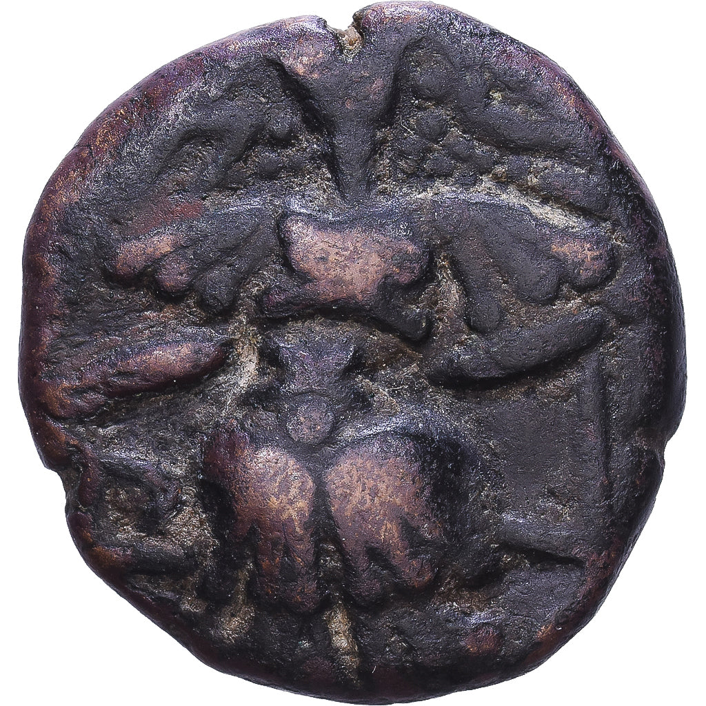 Alchon Huns in Kashmir, Successors of Toramana II, Bronze Unit, 530-855, Bronce