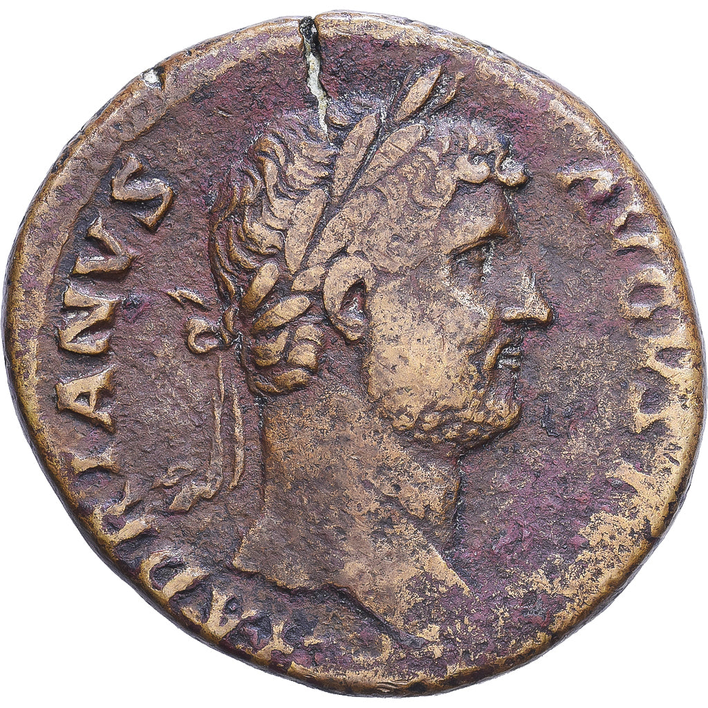 Roman Empire, Hadrius, As, 129-130, Rome, Bronzen, EF40, RIC:II.3-1263