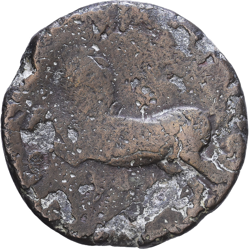 Numidia (Królestwo), Massinissa or Micipsa, Æ Unit, 150-120 BC, Cirta, Miedź
