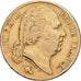 France, Louis XVIII, 20 Francs, 1820, Paris, Gold, EF(40-45), Gadoury:1028