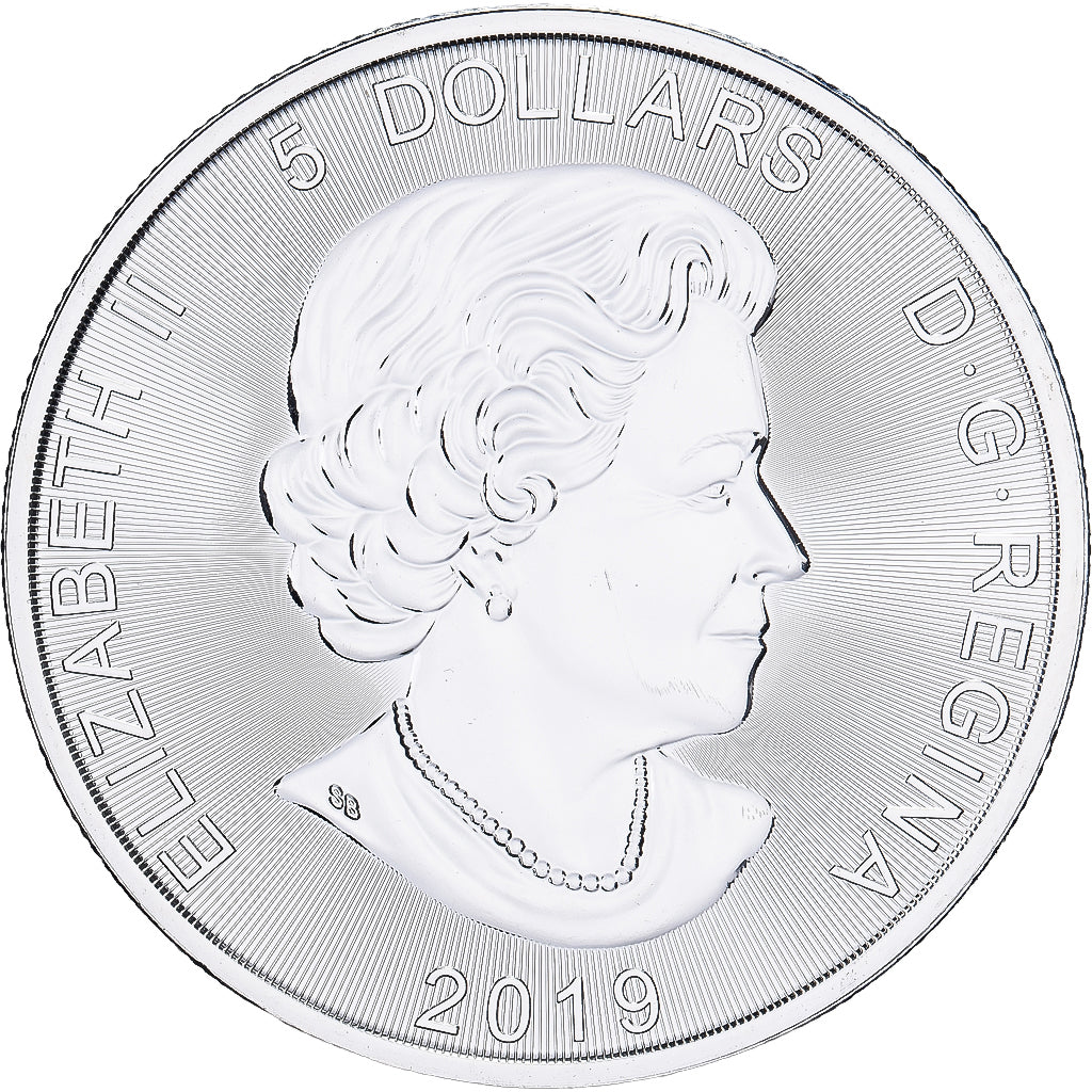 Canada, Élisabeth II, 5 dollars, 1 oz, Ours brun, 2019, Royal Canadian Mint