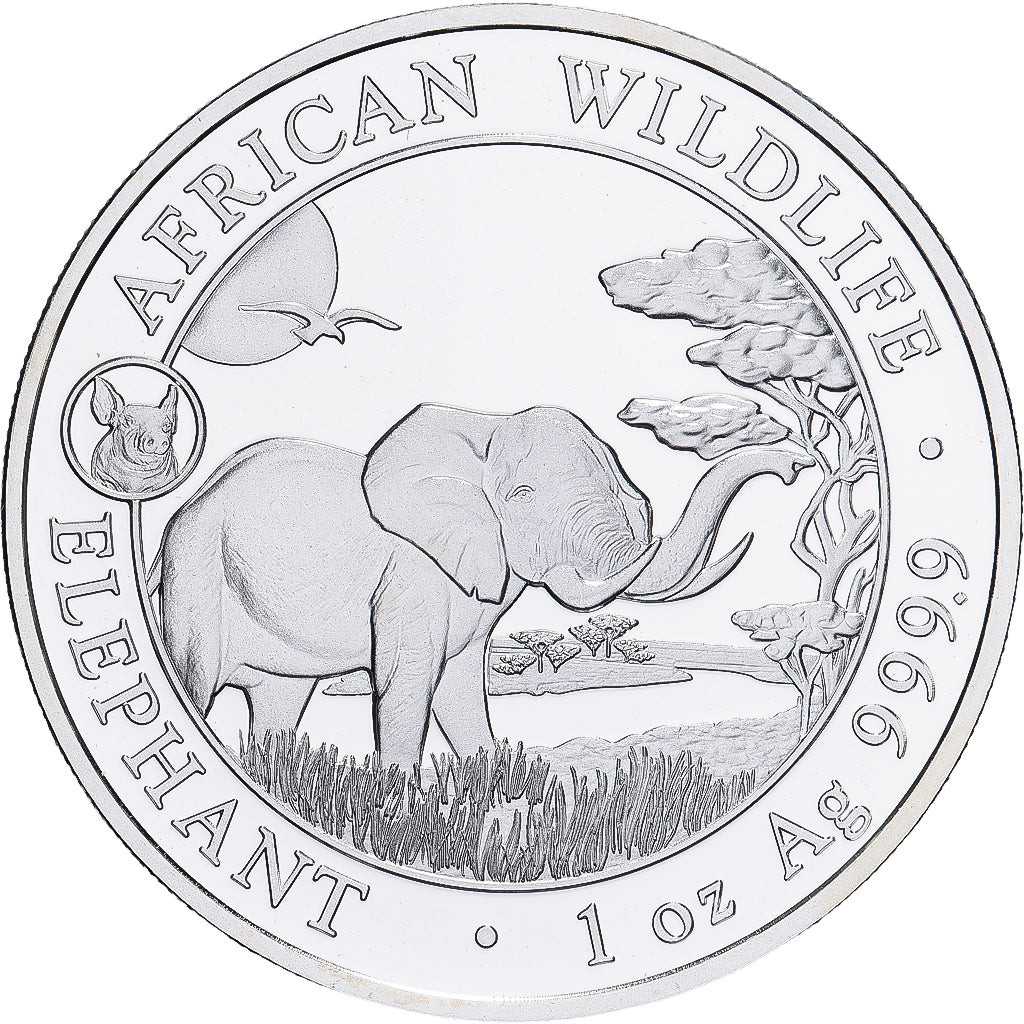 Somalia, 100 Shillings, Elephant, 2019, 1 Oz, Proof, Silber, STGL
