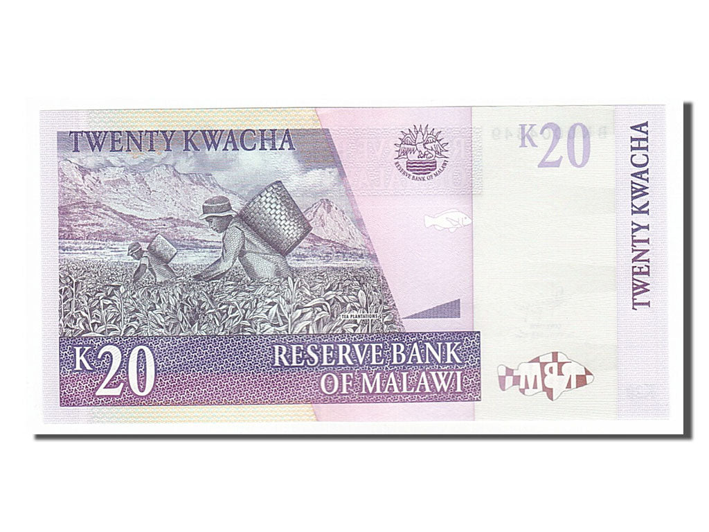 Banknote, Malawi, 20 Kwacha, 2009, 2009-10-31, UNC(65-70)