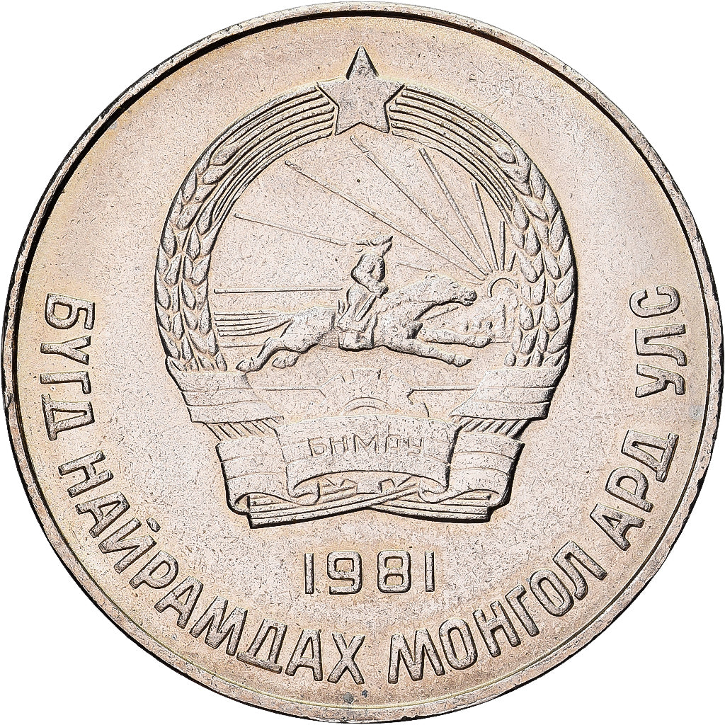 Mongolie, 50 Mongo, 1981, Cupro-nickel, SUP, KM:33