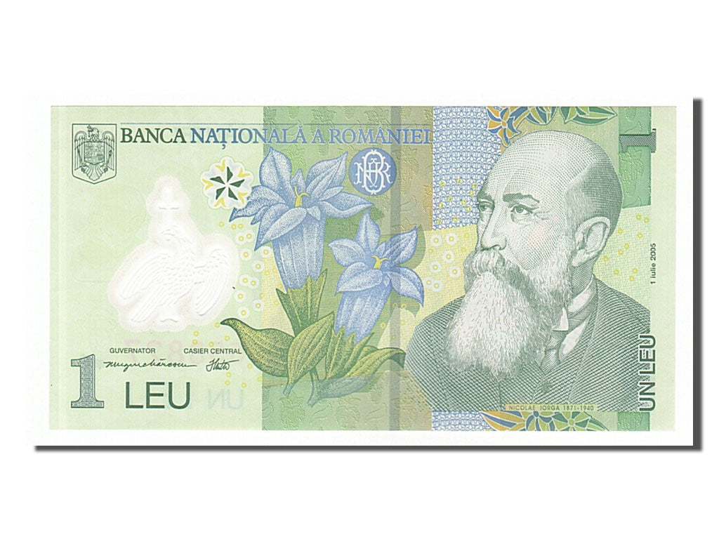 Banknote, Romania, 1 Leu, 2005, 2005-07-01, AU(55-58)