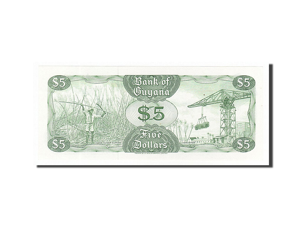 Banknote, Guyana, 5 Dollars, 1992, UNC(65-70)