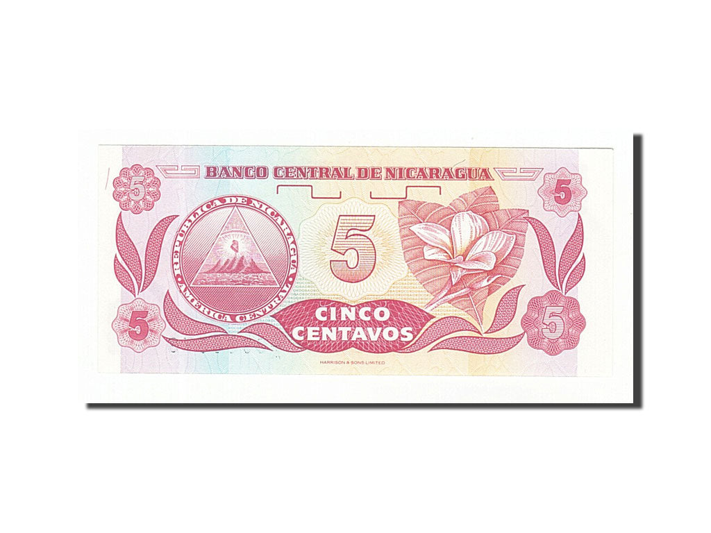 Banknote, Nicaragua, 5 Centavos, 1991, UNC(63)