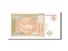 Geldschein, Mongolei, 1 Tugrik, 1993, UNZ