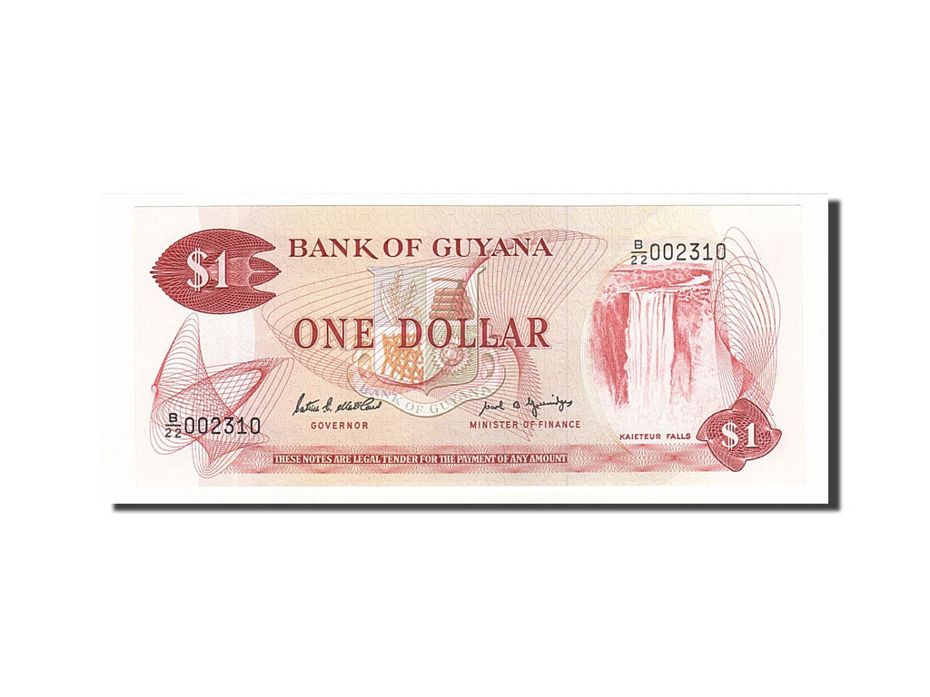 Banknote, Guyana, 1 Dollar, 1989, Undated, KM:21f, UNC(63)