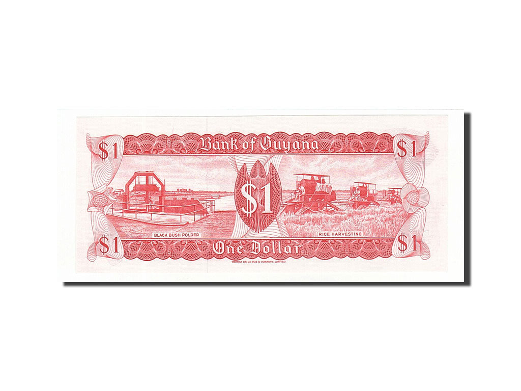 Banknote, Guyana, 1 Dollar, 1989, Undated, KM:21f, UNC(63)
