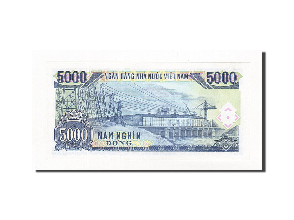 Biljet, Viëtnam, 5000 D<ox>ng, 1991, Undated, KM:108a, NIEUW
