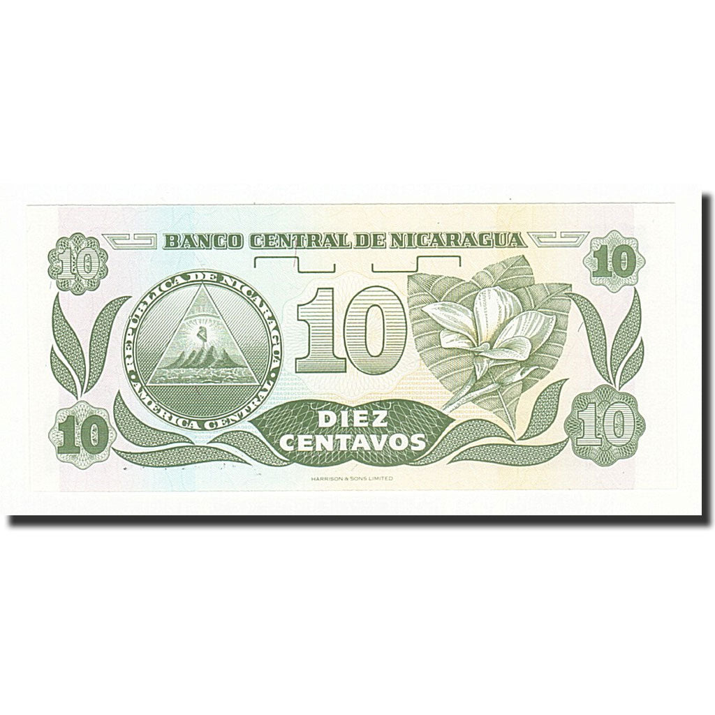 Banknote, Nicaragua, 10 Centavos, Undated (1991), KM:169a, UNC(65-70)