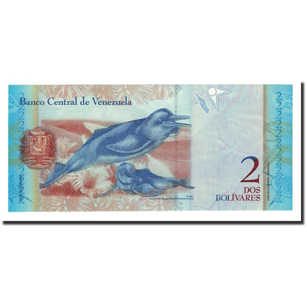 Banknote, Venezuela, 2 Bolivares, 2007-03-20, KM:88a, UNC(65-70)
