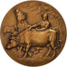 France, Medal, Concours d'Animaux Gras, Ville de Rouen, Agriculture, Erdmann
