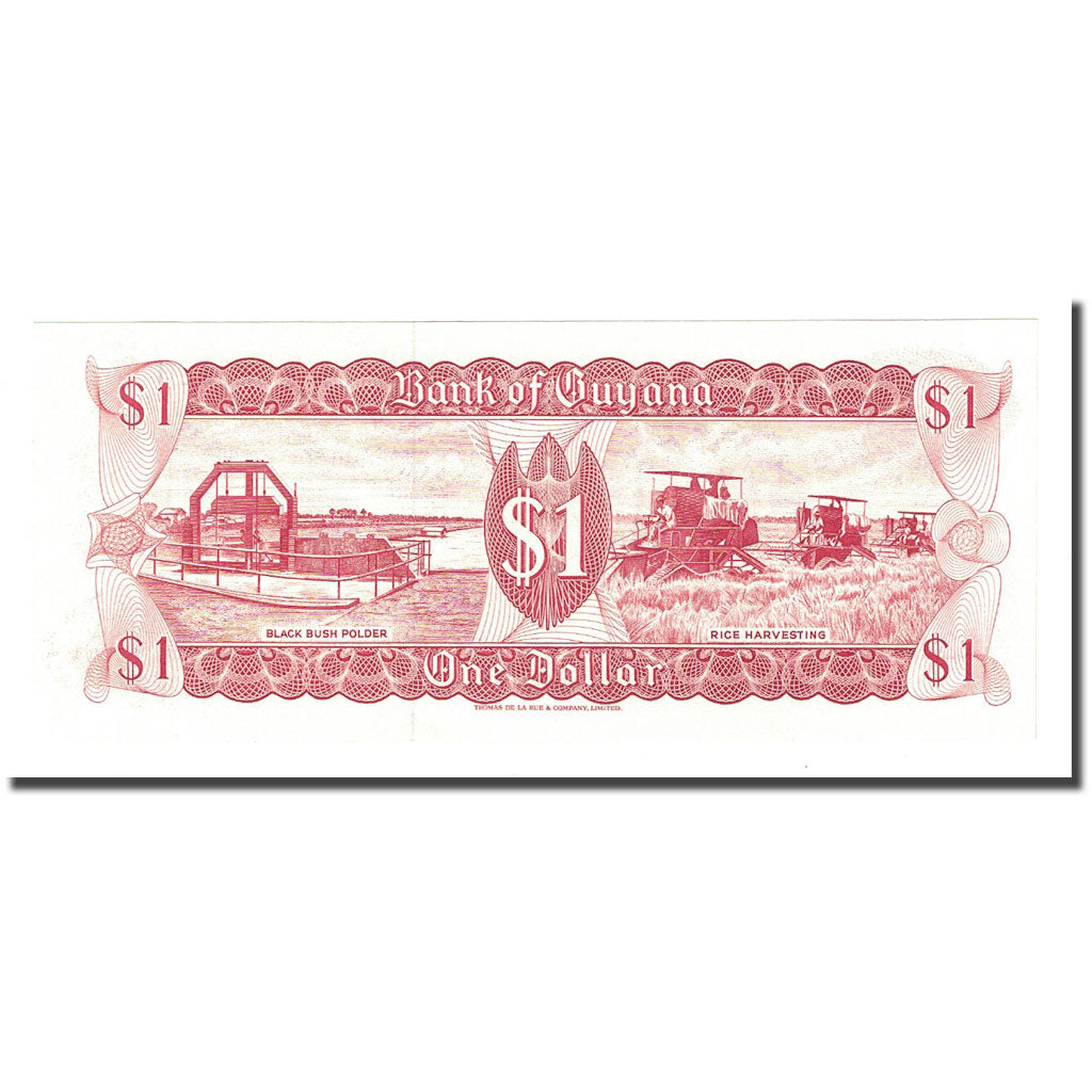 Banknote, Guyana, 1 Dollar, Undated (1992), KM:21g, UNC(65-70)
