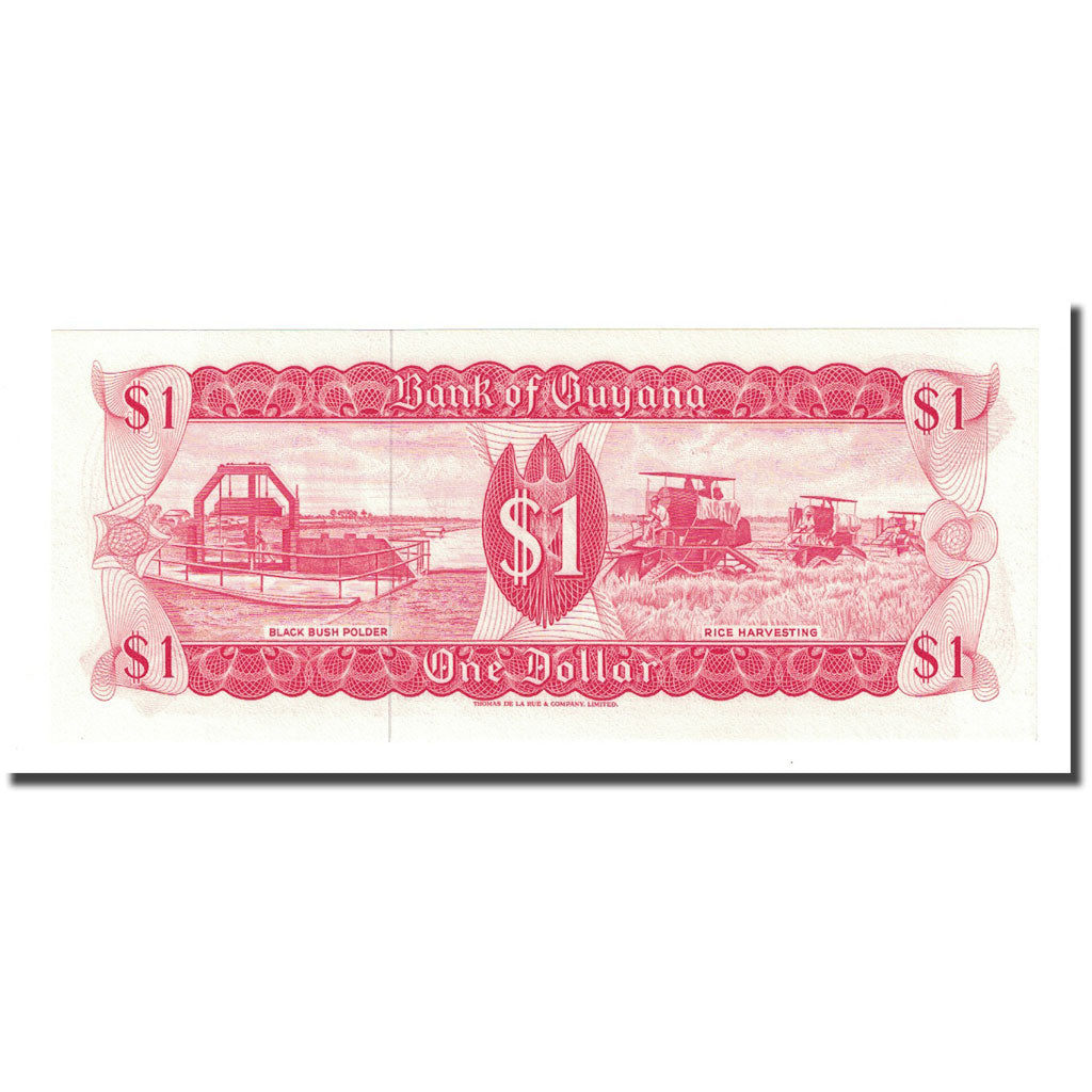 Banknote, Guyana, 1 Dollar, Undated (1966-92), KM:21d, UNC(65-70)
