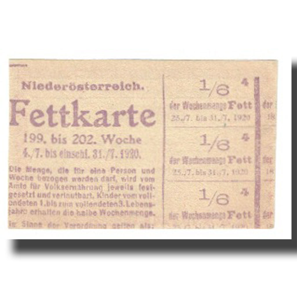 Geldschein, Österreich, Neustift-Innermanzing N.Ö. Gemeinde, 20 Heller, Texte