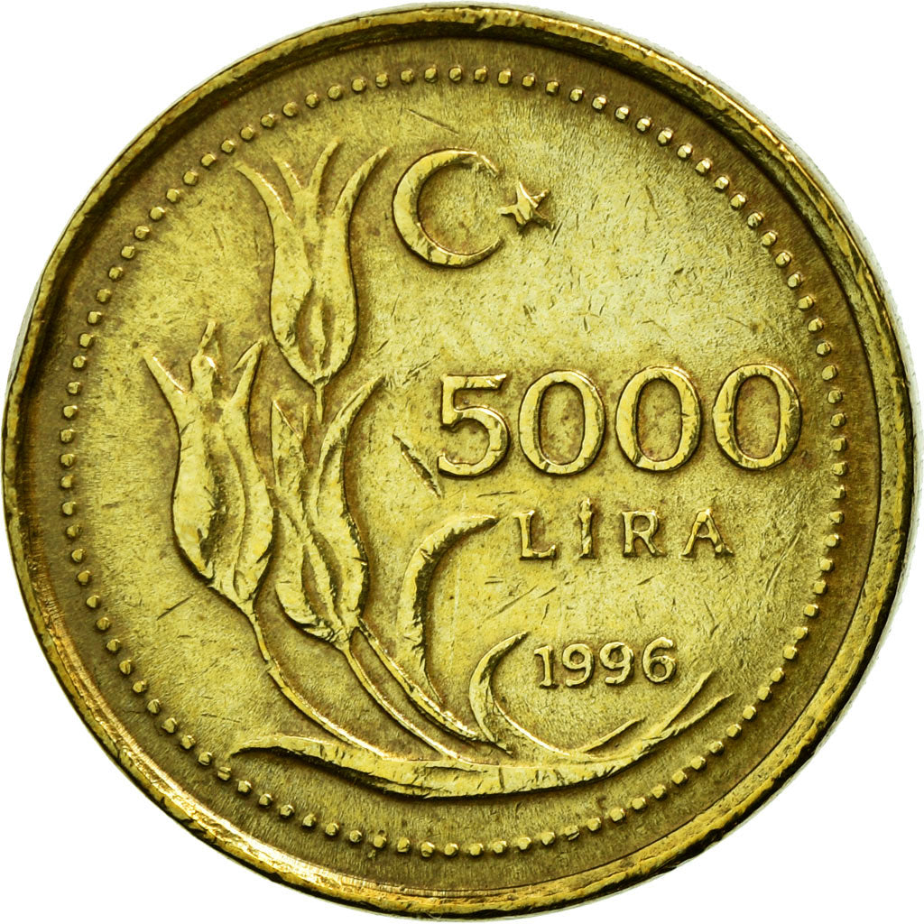 Coin, Turkey, 5000 Lira, 1996, EF(40-45), Brass, KM:1029.1
