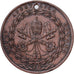 Vatican, Medal, Pie IX, Rome rendue aux Catholiques par les Armes, 1849