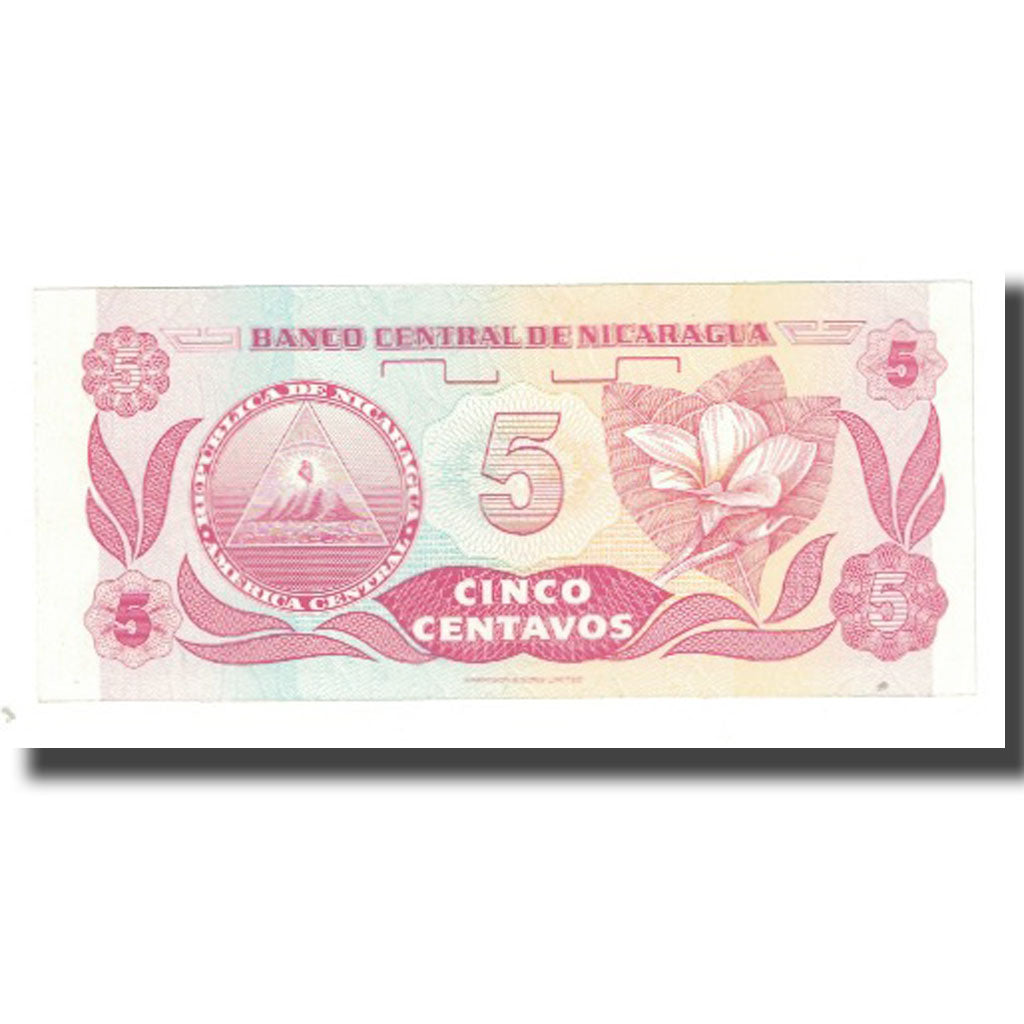 Banknote, Nicaragua, 5 Centavos, KM:168a, UNC(63)