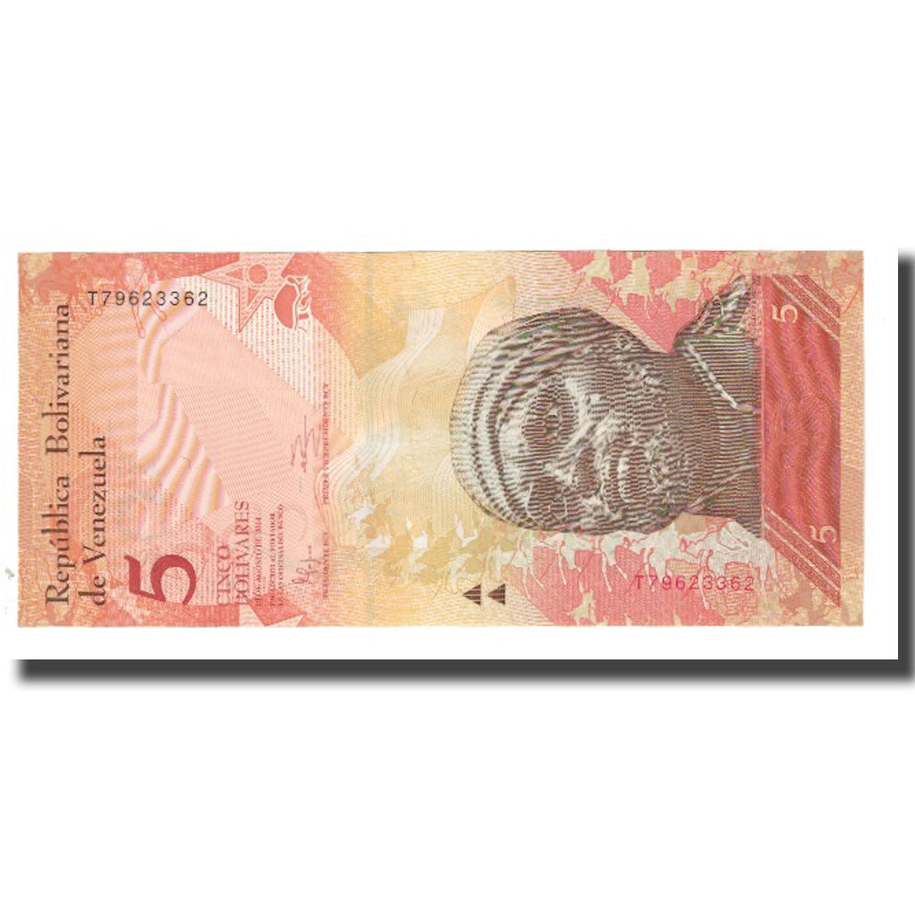 Banknote, Venezuela, 5 Bolivares, 2014, 2014-08-19, KM:89a, UNC(65-70)