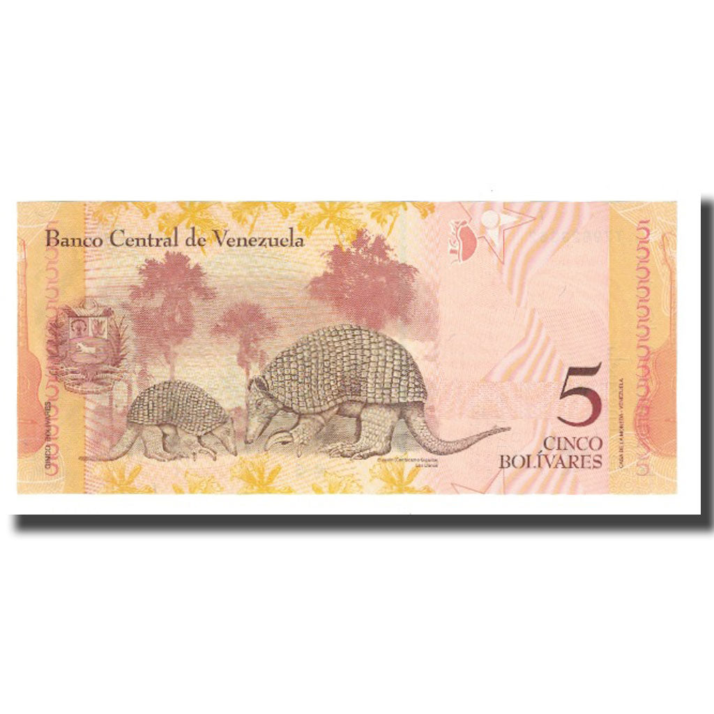 Banknote, Venezuela, 5 Bolivares, 2014, 2014-08-19, KM:89a, UNC(65-70)
