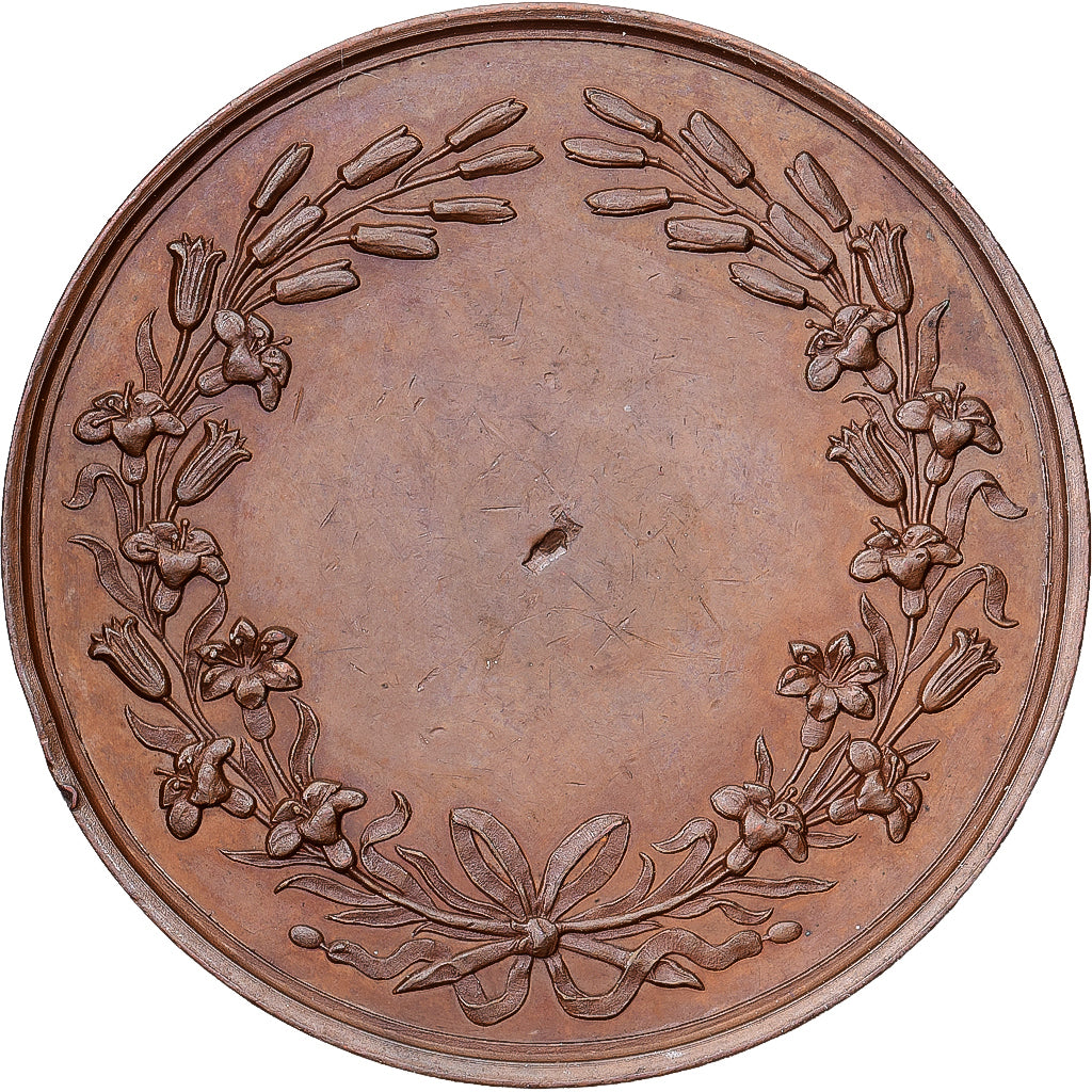 France, Medal, Henri De France, History, 1842, Gayrard, AU(50-53), Copper