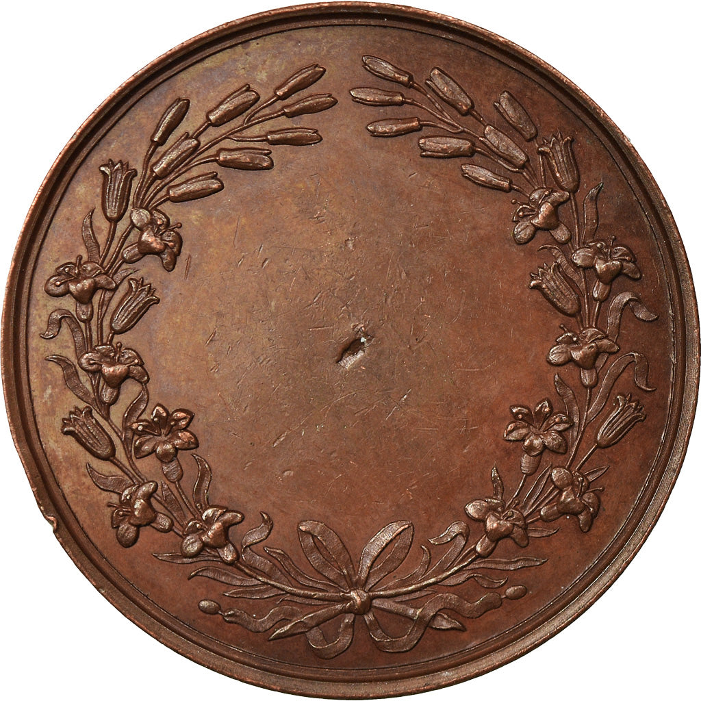 Frankrijk, Medaille, Henri De France, History, 1842, Gayrard, ZF+, Koper