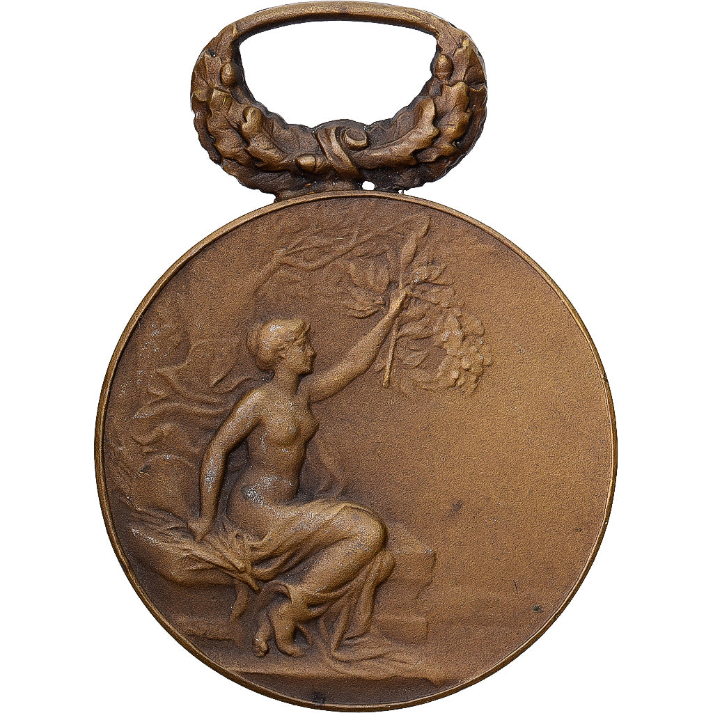 France, Jeux Floraux du Languedoc, Medal, 1906, Excellent Quality, Pillet