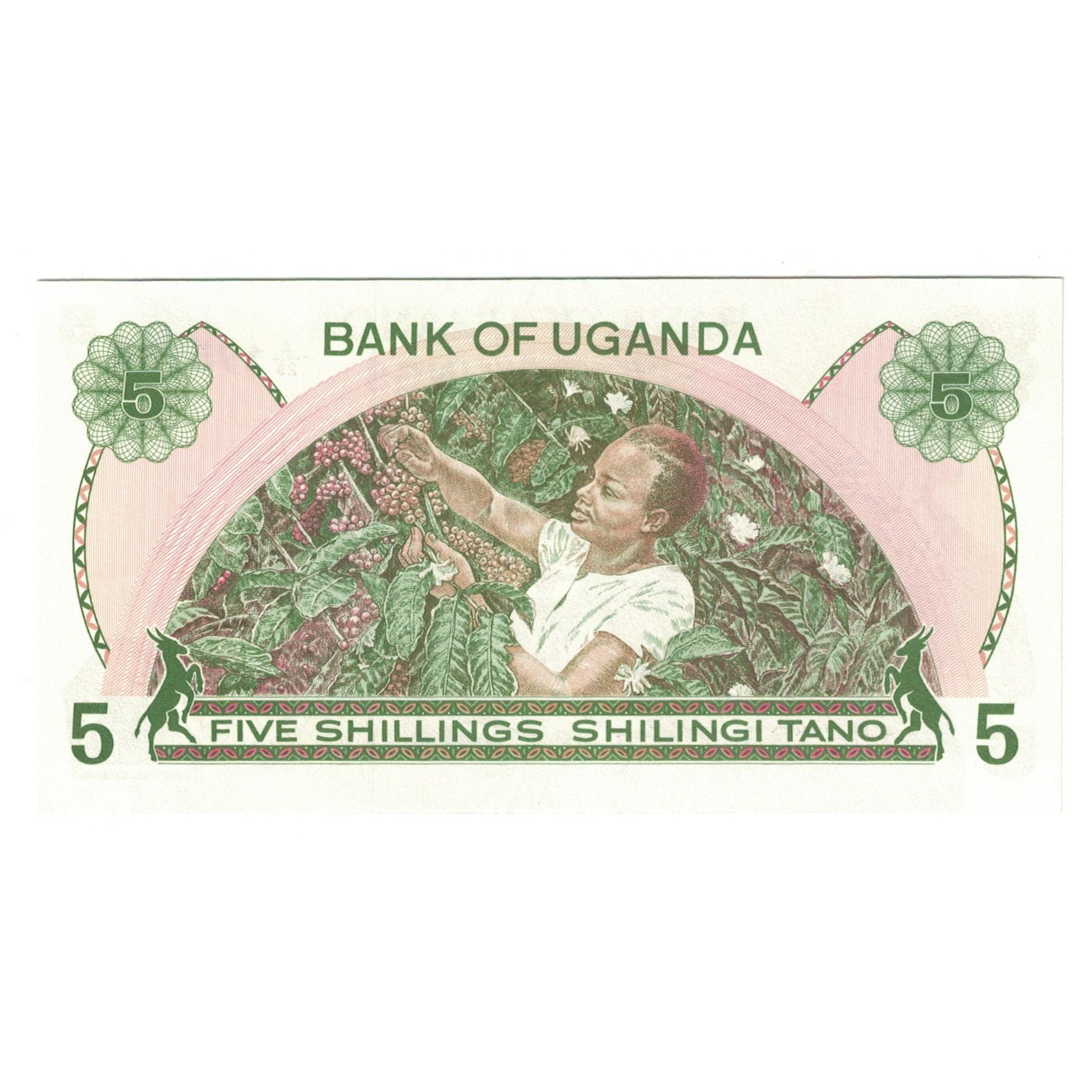 Banknote, Uganda, 5 Shillings, KM:15, UNC(63)