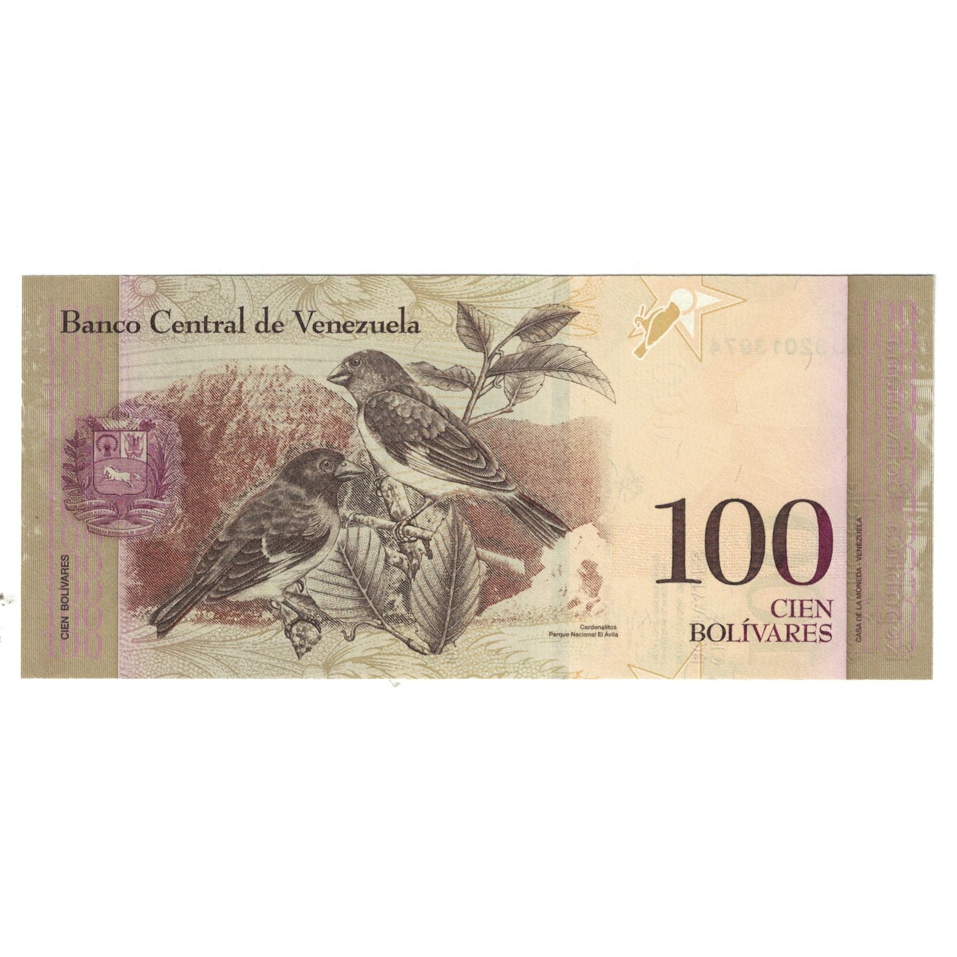 Banknote, Venezuela, 100 Bolivares, 2013, 2013-10-29, KM:93a, UNC(63)