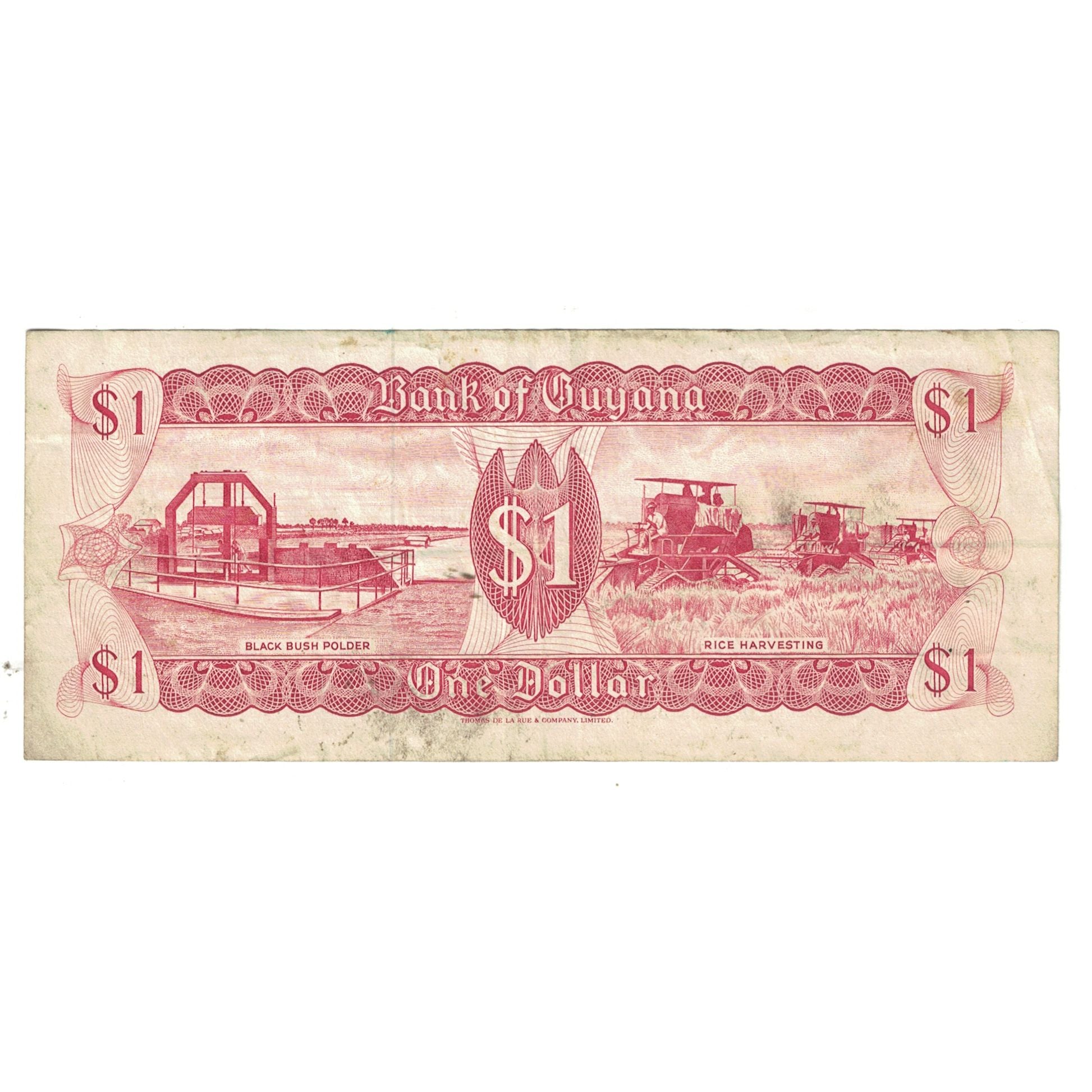 Banknote, Guyana, 1 Dollar, KM:21d, VF(20-25)