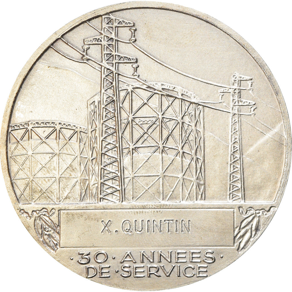 Frankrijk, Medaille, Électricité de France et gaz de France, Business &