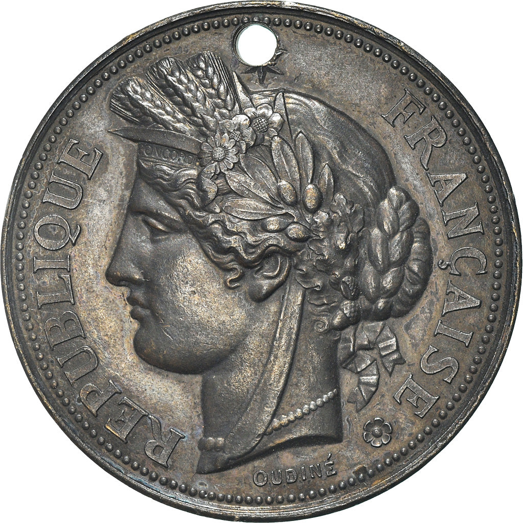 France, Medal, Offert par Mr de Cormette, Conseiller Général, Politics