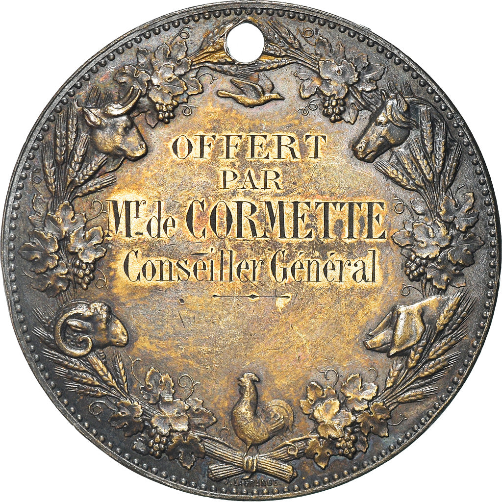 France, Medal, Offert par Mr de Cormette, Conseiller Général, Politics
