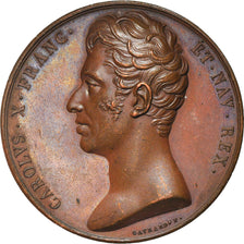 France, Medal, Charles X, Inauguration du Palais de Justice d'Orléans, History