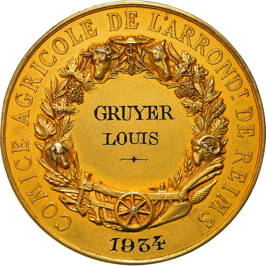 Francia, medaglia, Comice Agricole de Reims, Olivier de Serres, 1934, Oudiné