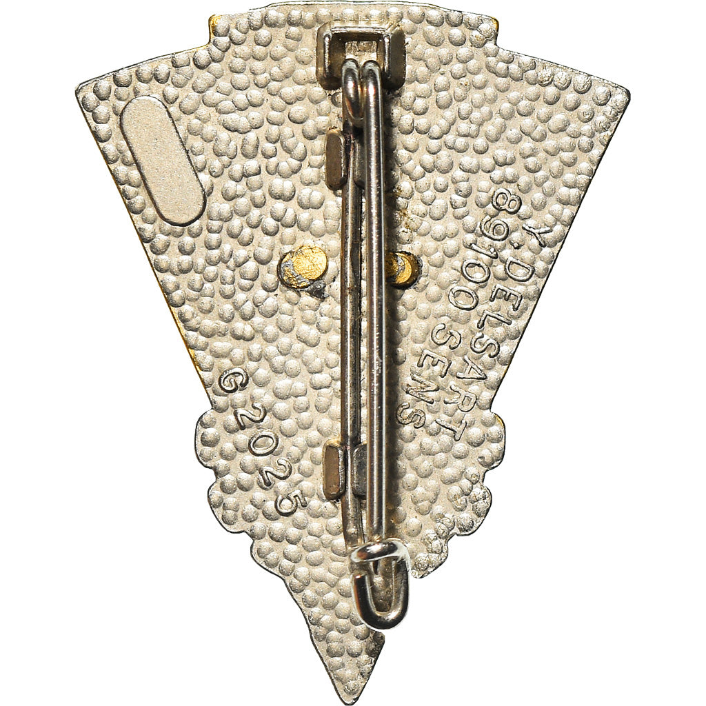 Francia, Broche, 34ème Régiment Génie, medaglia, Fuori circolazione, Métal