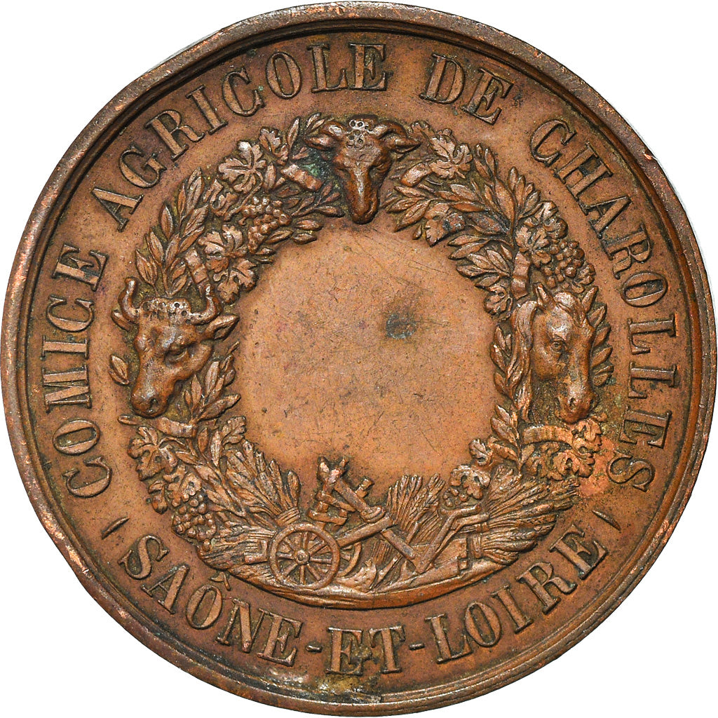 France, Medal, Napoléon III, Comice de Charolles, Borrel, EF(40-45), Copper