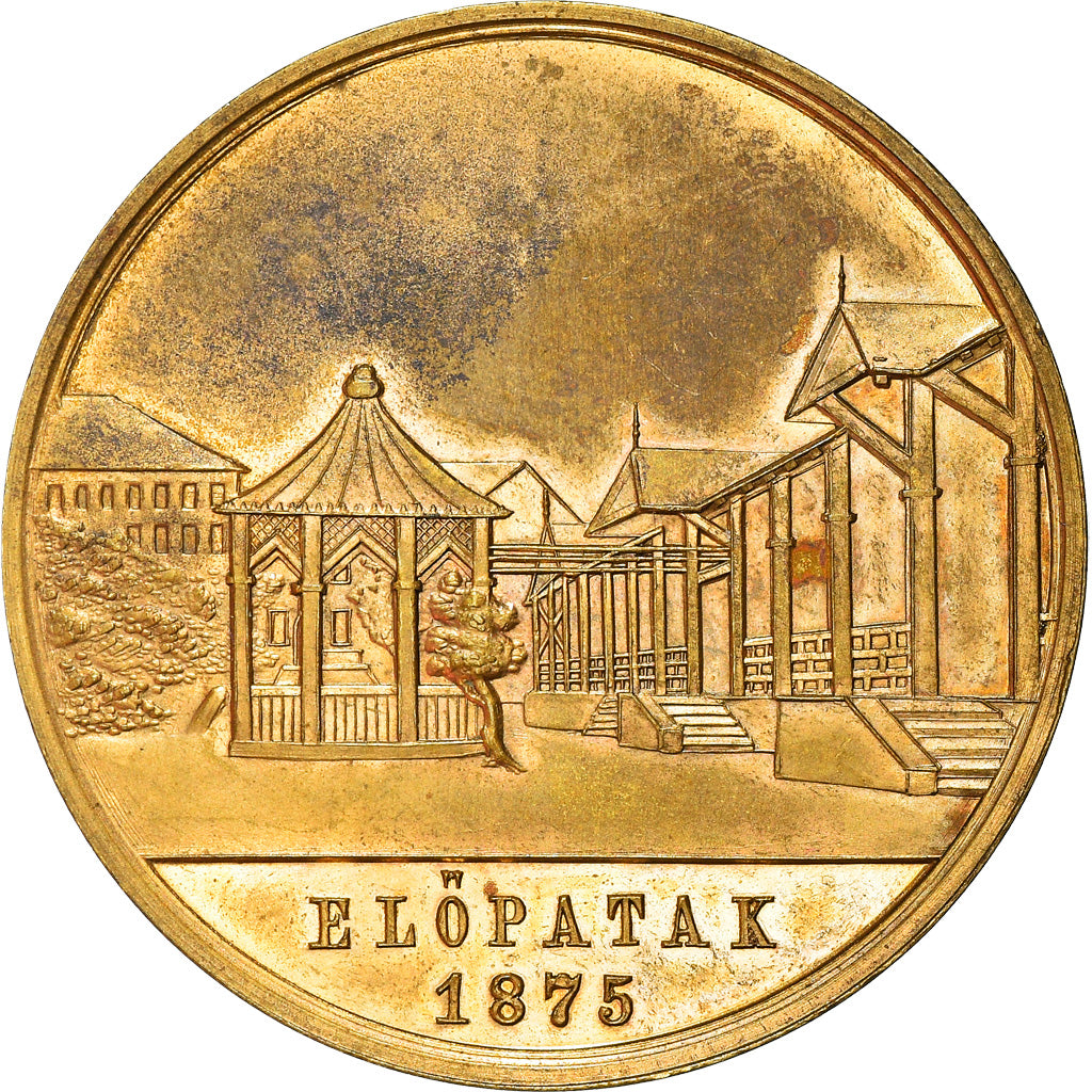 Hungary, Medal, Versammlung in Elöpatak, History, 1875, AU(55-58), Gilt Bronze