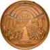 Francja, Medal, Révolution Française, Les Clubs Révolutionnaires, Historia