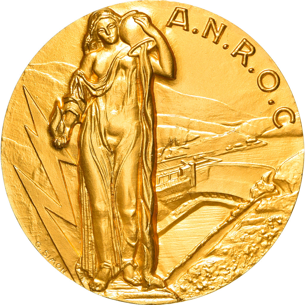 France, Médaille, A.N.R.O.C, Business & industry, 1989, Simon, FDC, Gilt Bronze