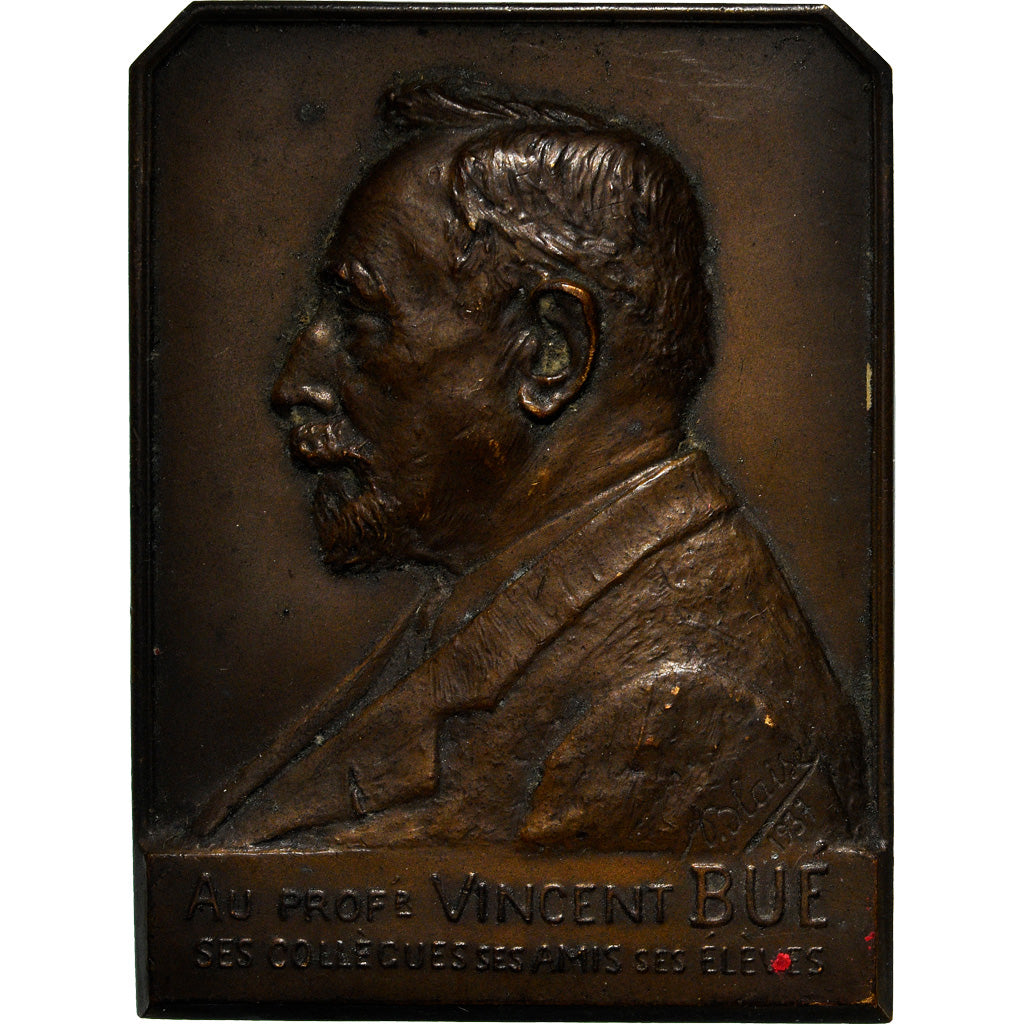 Francja, Medal, Médecine, Professeur Vincent Bué, 1937, Blaise, EF(40-45)