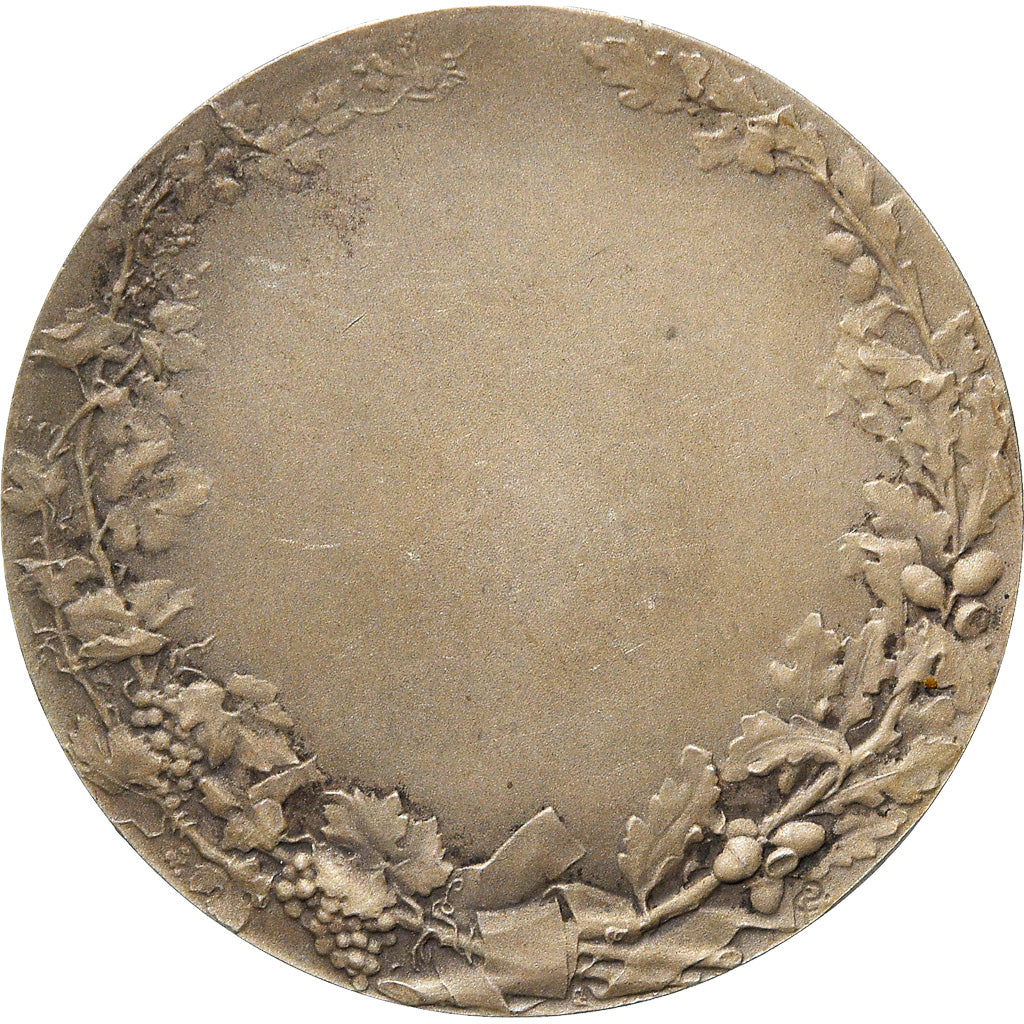 Francia, medaglia, Société des agriculteurs de France, Pillet, SPL-, Argento