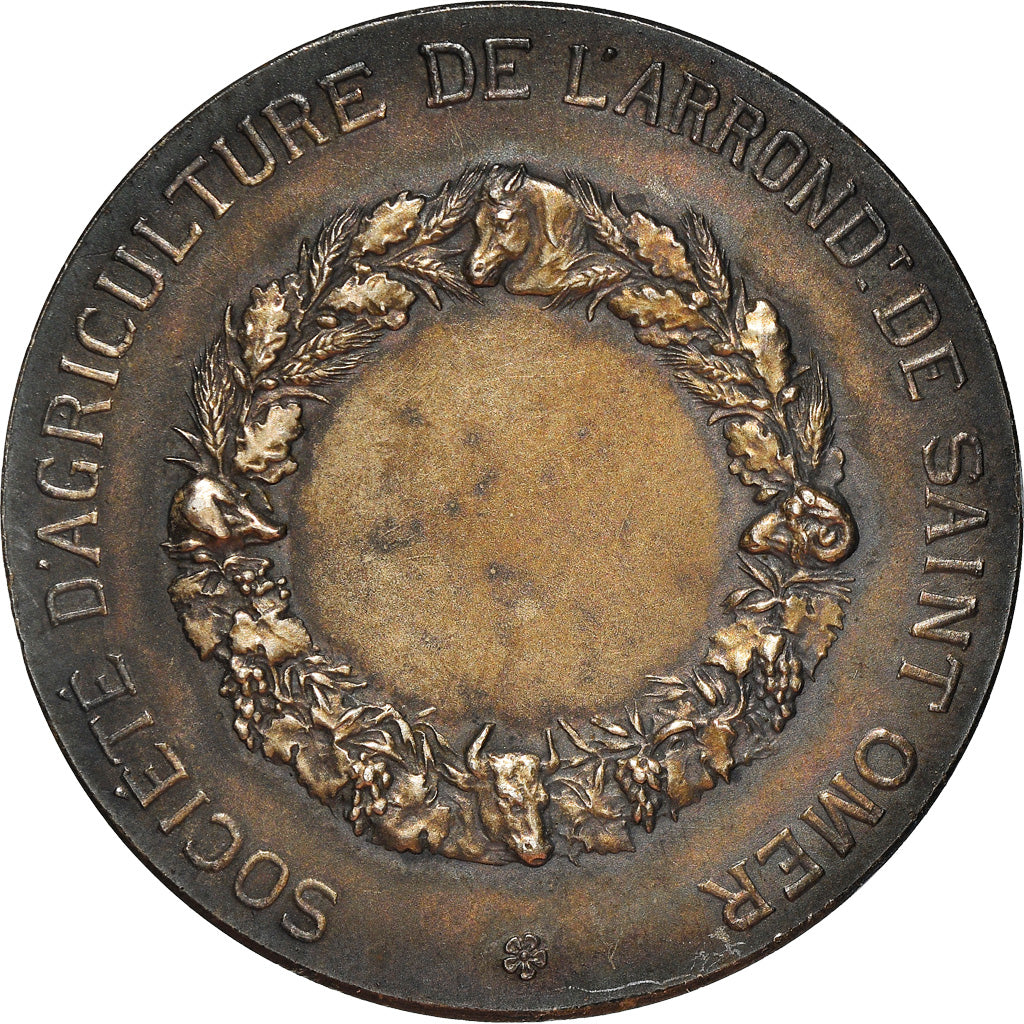 France, Médaille, Société d'Agriculture de Saint-Omer, Henri Dubois, TTB+