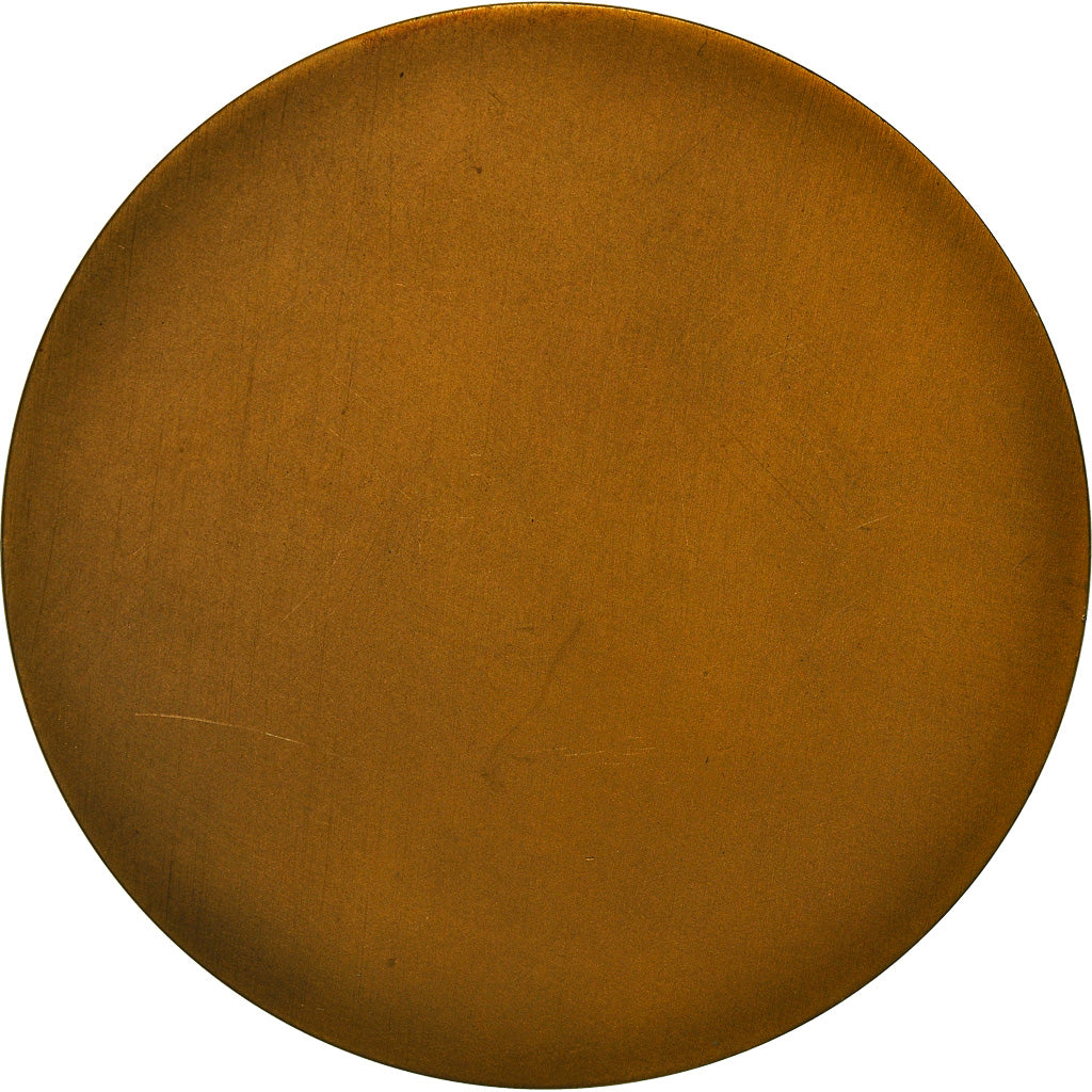 Francja, Medal, Fernand Brunot, Doyen de la Faculté des Lettres, 1928, Dammann
