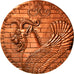 Frankrijk, Medaille, Confédération des Industries Céramiques de France, 1974